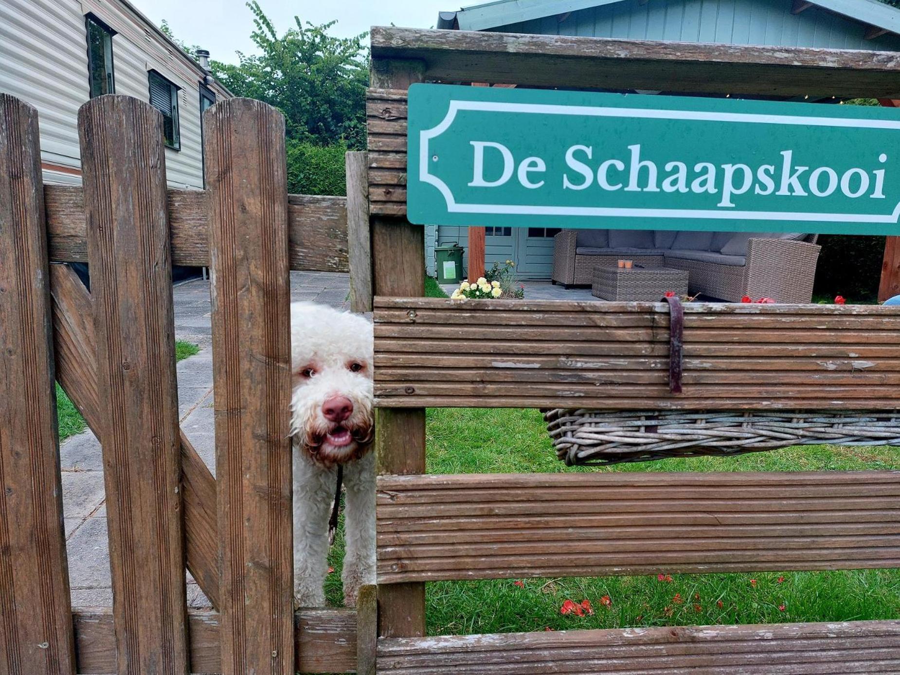 Familychalet De Schaapskooi, 6-Persons, Big Private Garden, Dogs Aloud Westergeest エクステリア 写真